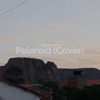 Polaroid (Cover) - Single