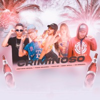 Criminoso (feat. VN Original & annyofcll & Thais Eduarda & Pretinho Oficial) - Single - YULE LW