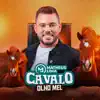 Matheus Lima - Cavalo Olho Mel