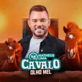 CAVALO OLHO MEL
