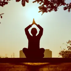 Ascolta Meditation And Spa Collective, guarda video musicali, leggi la biografia, vedi le date del tour & altro!