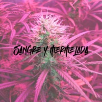 Sangre y Mermelada - Single - Los Porros Hermanos