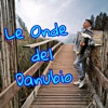 Le onde del danubio cover art