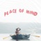 Peace of Mind artwork