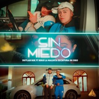 Sin Miedo (feat. Benji La Maldita Escritura De Oro) - Single - Dhylan_njk
