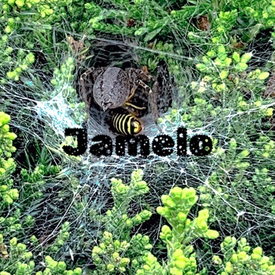 Beat it up (feat. Gelati Ak & Dot) - Single