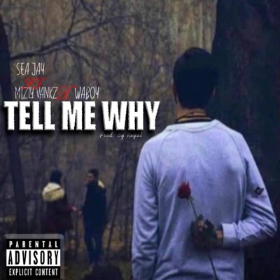 Tell Me Why (feat. Mizly vankz & Waboy) - Sea Jay