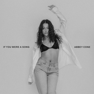 Abbey Cone - If You Were a Song - 排舞 音樂