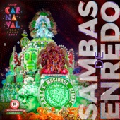 Nós Nascemos e Crescemos no Meio de Gente Bamba. por Isso Que Nós Somos a Faculdade do Samba. 50 Años de Barroca Zona Sul artwork