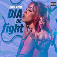 Dia de Fight - Single - Bidu Ariel