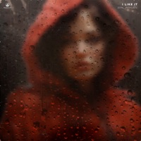 I Like It - Single - A17N & Indicate