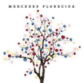 Mercedes Florecida artwork