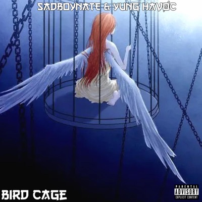 Bird Cage (feat. Sadboynate) - Single