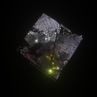 Juste un Enfant du Queens - Single - Le Lij