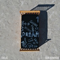 Dreams (feat. Sam Bowman) - Single - TRELIC