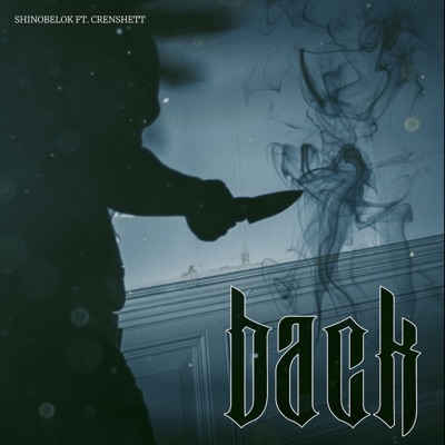 Back (feat. Crenshett) - Single