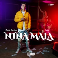 Niña Mala - Single - David Santos