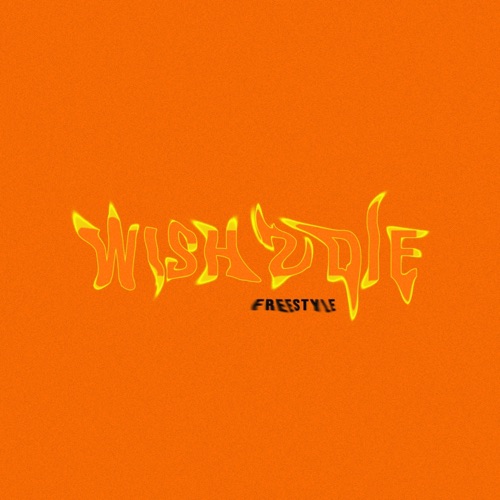 WISH 2 DIE FREESTYLE (feat. Savage & Shareh) - Single