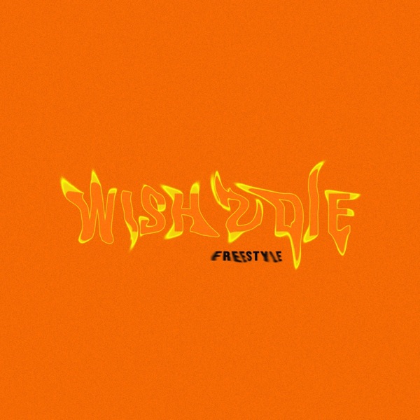 WISH 2 DIE FREESTYLE (feat. Savage & Shareh)