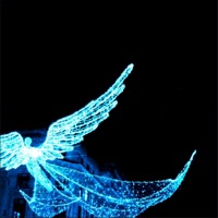 Nightfall - Single - Raynix