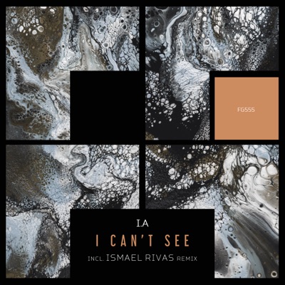 I Can't See - Single