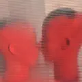 Manual De Una Perdida