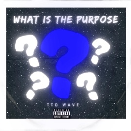 What is the Purpose TTD Wave