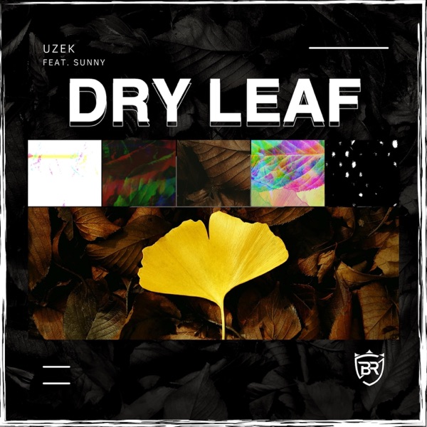Dry Leaf (feat. Sunny) - EP