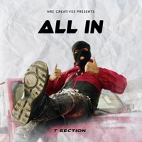 All In - Single - T Section & M4