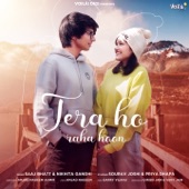 Tera Ho Raha Hoon artwork