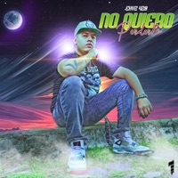 No Quiero perderte (Radio Edit) - Single - X420