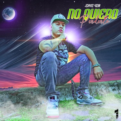 No Quiero perderte (Radio Edit) - Single