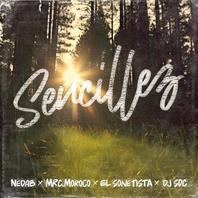Sencillez (feat. El Sonetista, Moroco Chile & Dj sdc) - Single