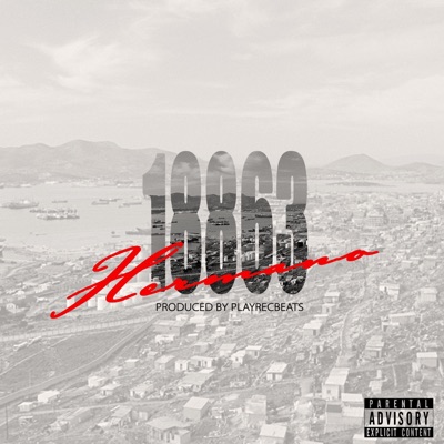 18863 (feat. Playrec Beats) - Single