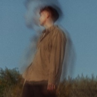 Stray Nights - Single - Tom Frane