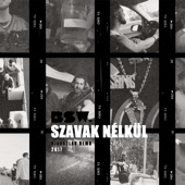 Szavak nélkül (Kiadatlan Demo 2017) artwork