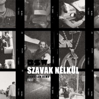 Szavak nélkül (Kiadatlan Demo 2017) - Single - BSW