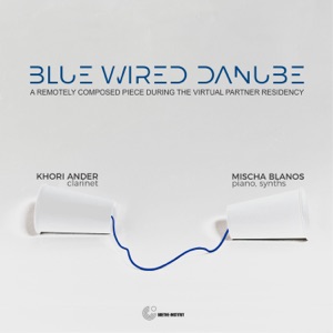 Blue Wired Danube