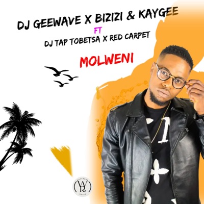 Molweni (feat. DJ Tap Tobetsa & Red carpet) - Single