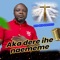 Aka Dere Ihe Naememe - BRO BEN NWOKOLO lyrics