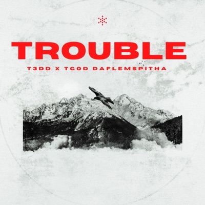 Trouble (Refix) [feat. T3DD] - Single