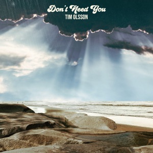 Don't Need You - Single