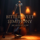 Bitter Sweet Symphony (Hardstyle Mix) artwork