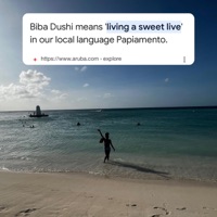 Biba Dushi - Single - Greedy J