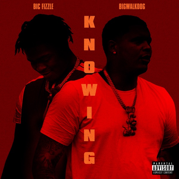 BiC Fizzle - Knowing