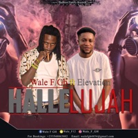 Halleluyah (feat. Elevation) - Single - WALE F GH