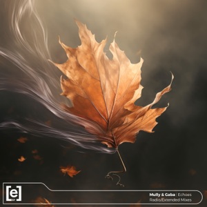 Echoes - Single