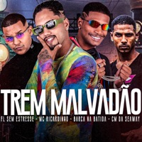 Trem Malvadão (feat. CM da Seaway) - Single - MC Ricardinho, Barca Na Batida & Fl Sem Estresse