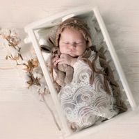 Ника - Single - Шима