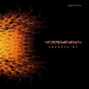 Endorphins - Single